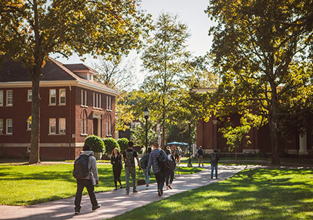 Students walk along a sunny, tree-lined path on a college campus, surrounded by green grass and brick academic buildings.